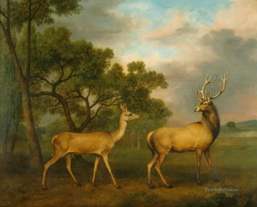 動物 Painting - am052D13 動物 鹿